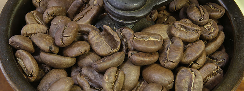 ストレートコーヒー豆「トラジャ」のご紹介